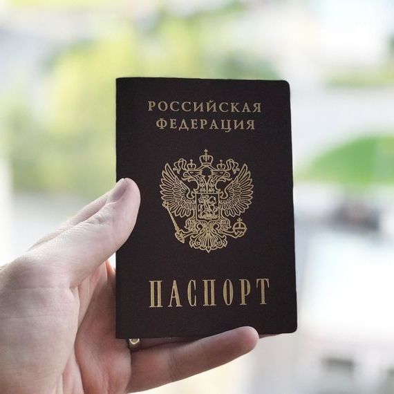 прописка в Сольцах